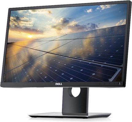 Dell 22 Inch Monitor displaying vivid colors and smooth visuals
